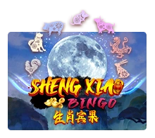 Sheng Xiao Bingo - SPINBET123