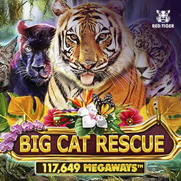 Big Cat Rescue Megaways - SPINBET123