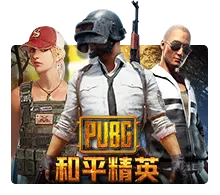 Pubg - SPINBET123