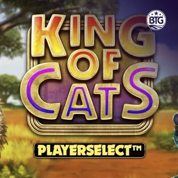 King of Cats - SPINBET123