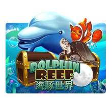 Joker123 : Dolphin Reef - SPINBET123