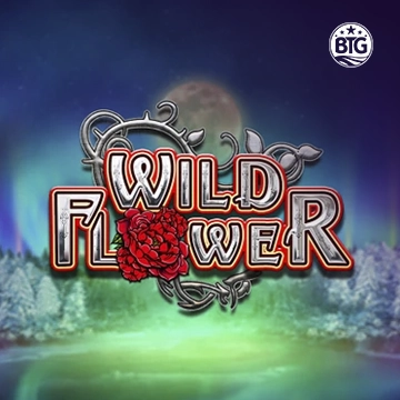 Wild Flower - SPINBET123