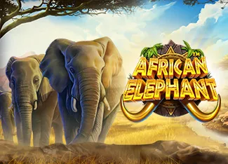 Pragmatic : African Elephant - SPINBET123